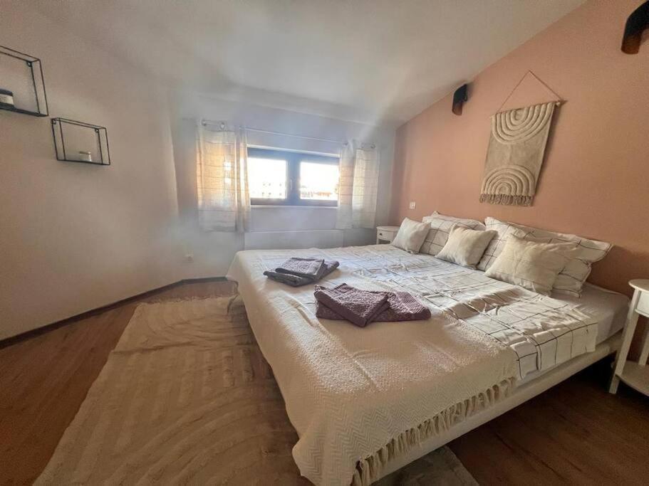 Cozy 1 Bedroom Next To The Gondola Апартамент Банско