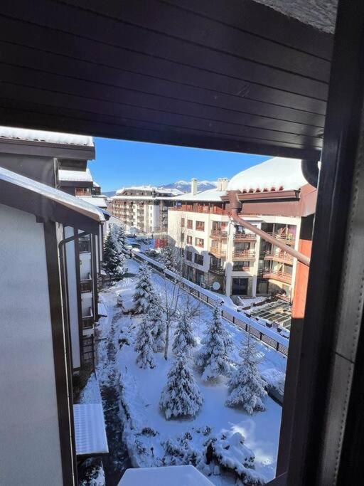 Cozy 1 Bedroom Next To The Gondola *